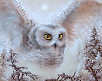 Без бренда «2KMB-3848» в Тюмени