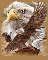 Без бренда «2KMB-4315» в Тюмени