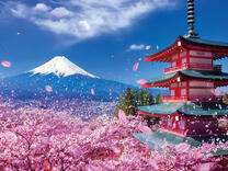 Без бренда «2KSB-7277» в Тюмени