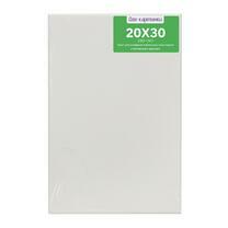 Без бренда «Коробка 80 шт.: Холст Две картинки на подрамнике 20X30» в Тюмени