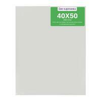 Без бренда «40 холстов! Коробка 20 шт.: 20 наборов по 2 шт. холст Две картинки на подрамнике 40X50 (всего 40 холстов)» в Тюмени в интернет-магазине  Без бренда «40 холстов! Коробка 20 шт.: 20 наборов по 2 шт. холст Две картинки на подрамнике 40X50 (всего 40 холстов)» в Тюмени