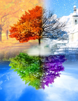 Без бренда «BOX10-2KLB-6100» в Тюмени