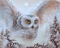 Без бренда «Полярная сова над лесом (20шт)» в Тюмени