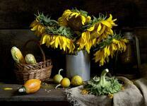 Подсолнухи в бидончике, кукуруза и тыквы