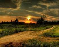 Без бренда «Проселочная дорога на закате» в Тюмени