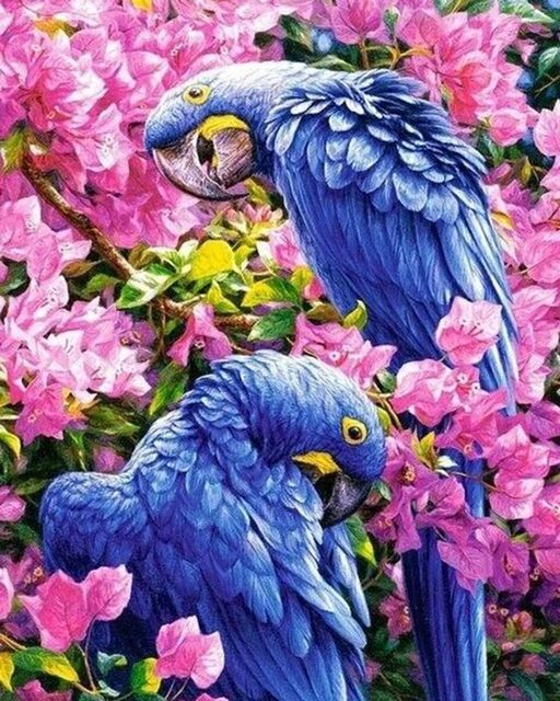 Алмазная мозаика 40x50 Голубые попугаи на розовых цветах