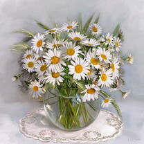 Без бренда «Букет свежих ромашек» в Тюмени