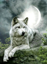 Без бренда «Коробка 25 шт. картин по номерам BOX25-GX21058» в Тюмени