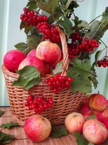 Без бренда «Коробка 25 шт. картин по номерам BOX25-GX5174» в Тюмени в интернет-магазине  Без бренда «Коробка 25 шт. картин по номерам BOX25-GX5174» в Тюмени