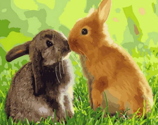 Картина по номерам 40x50 Рыженький и серенький кролики