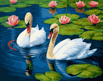 Белые лебеди на озере среди лотосов