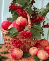 Без бренда «Плетёная корзина с калиной и яблоками» в Тюмени