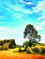 Без бренда «Осенний пейзаж с голубым небом» в Тюмени