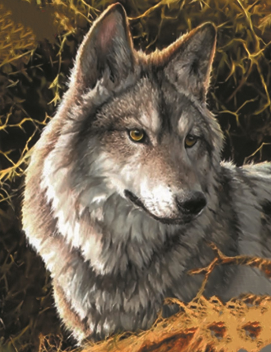Алмазная мозаика 40x50 Серый волк в хащах