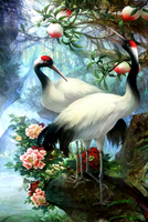 Без бренда «Коробка 25 шт. картин по номерам BOX25-GX29399» в Тюмени в интернет-магазине Без бренда «Коробка 25 шт. картин по номерам BOX25-GX29399» в Тюмени