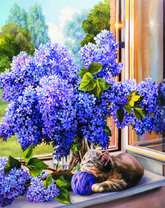 Кот играет возле букета сирени