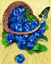 Бабочка возле корзинки голубики