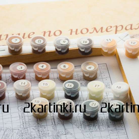 Картина по номерам 40x50 Венецианский переулок